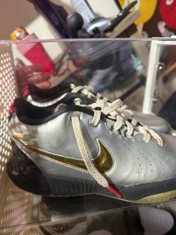 lebron shoes