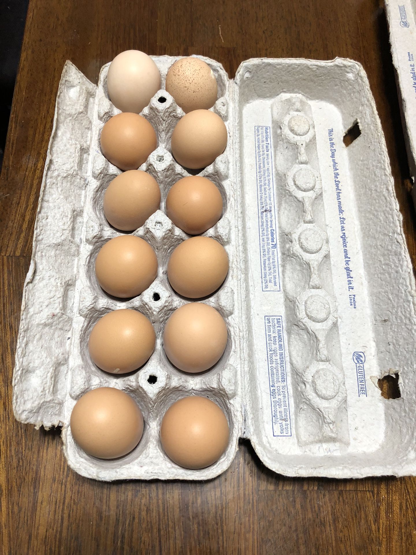 Free Range Farm Fresh Eggs 