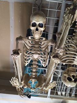 Halloween Skellies