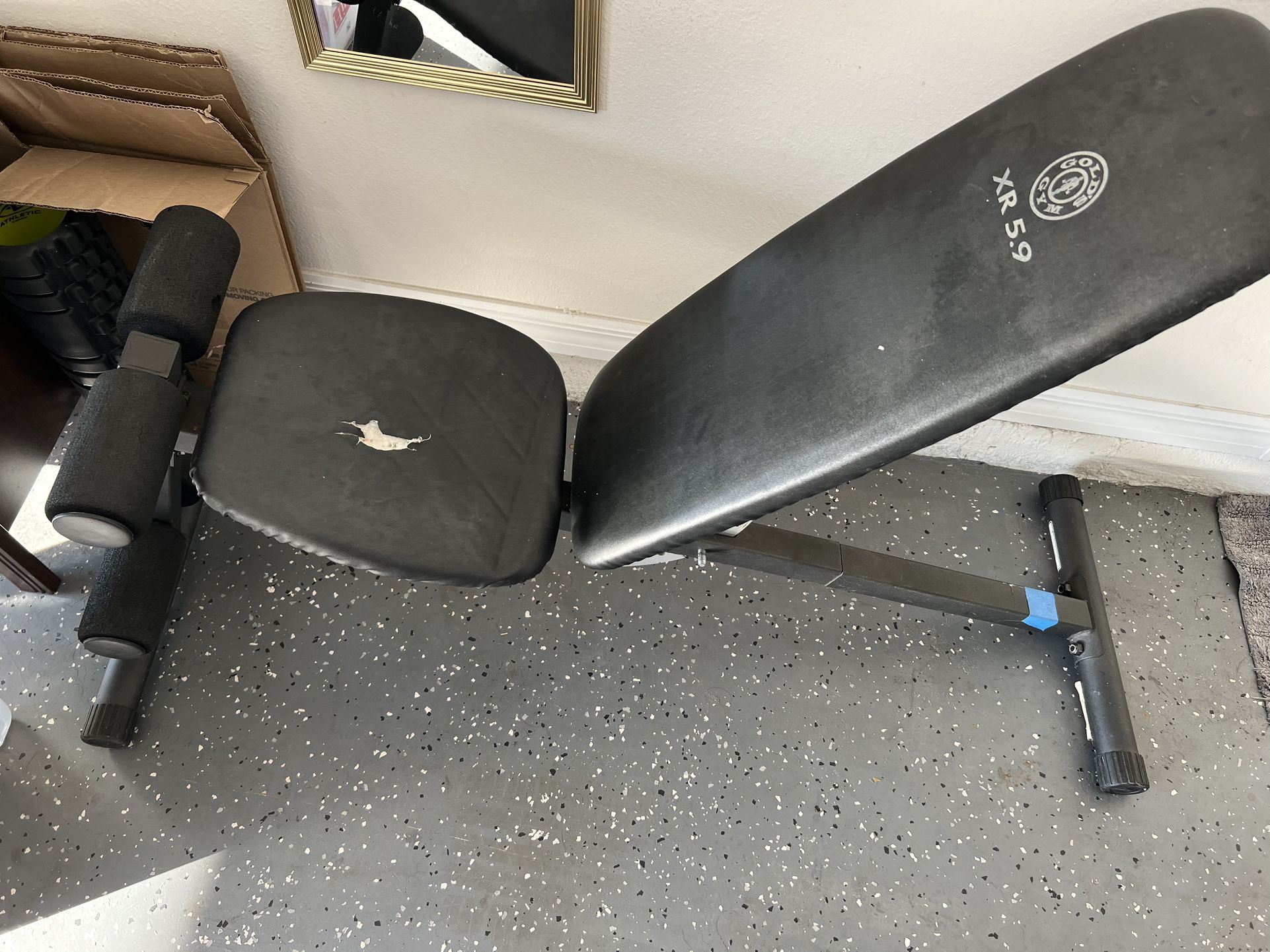 Adjustable Fitness Workout Bench