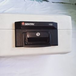 Sentry Save Box