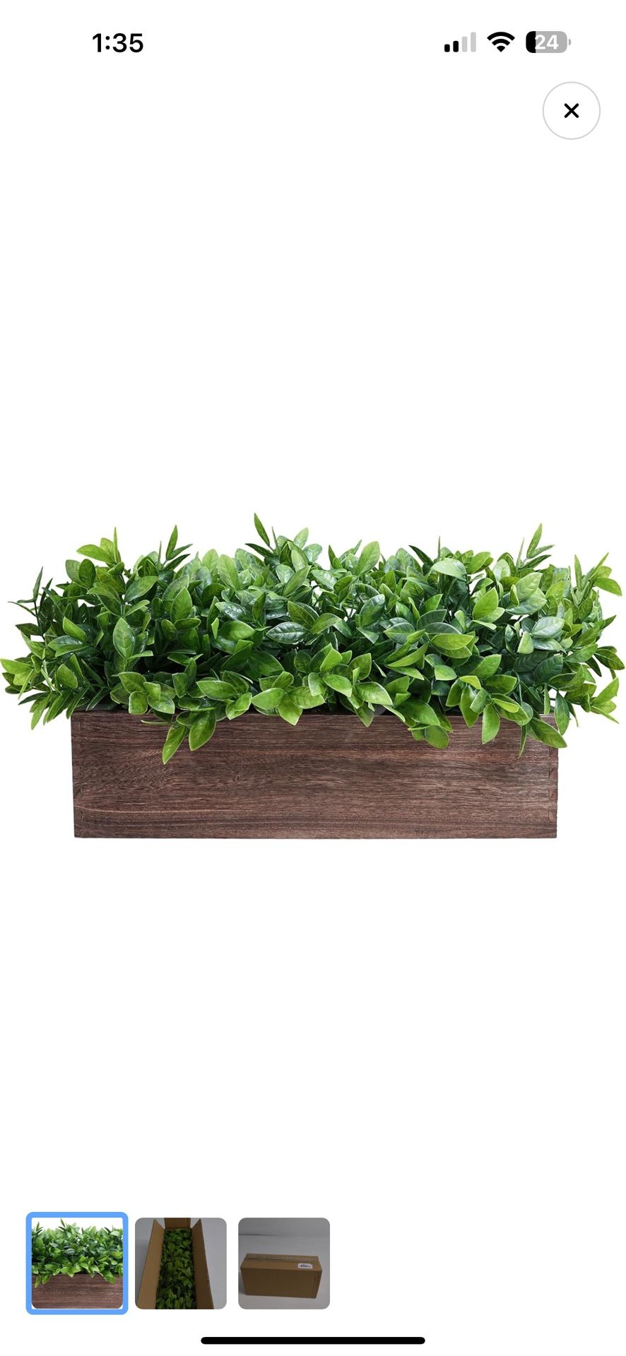 Winlyn 14" Artificial Boxwood Plants in Rectangular Wood
