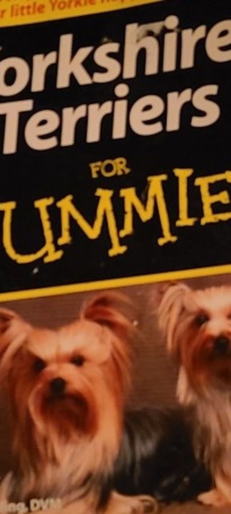 Yorkshire Terriers for Dummies OR Labrador Retriever book for your dog
East, west or north