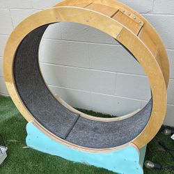 Cat Running Wheel 