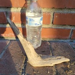 Driftwood