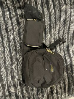 Tushbaby, Hip Carrier, Black With Gold Accents