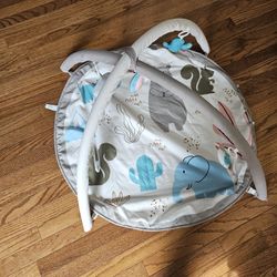 Little Tikes Baby Play Gym