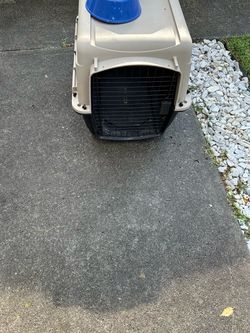 Large Plastic Pet Travel Crate