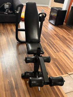 Workout Bench