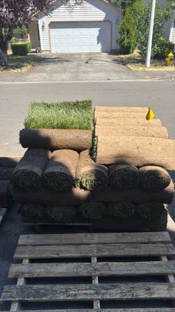 New sod