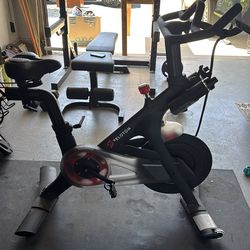 Pelton bike for sale