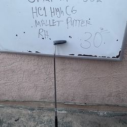 Puter Golf Palo De Golf