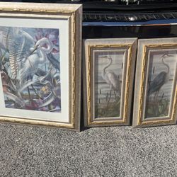 beautifully framed bird artwork