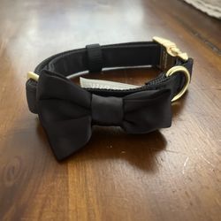 Dog Collar