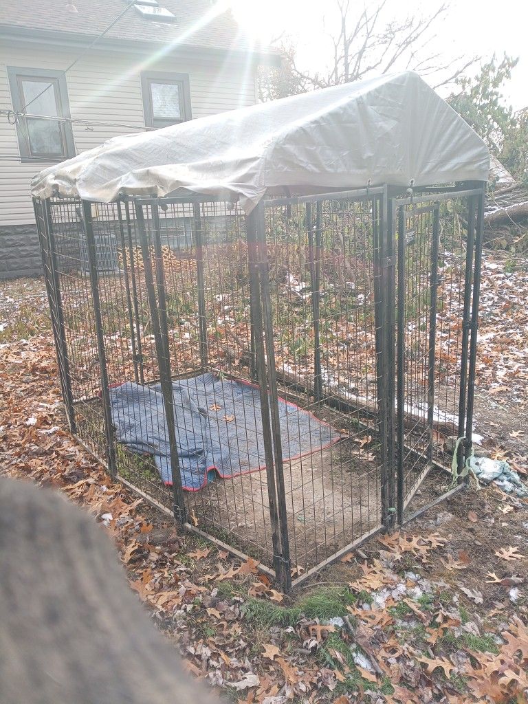 Dog Cage