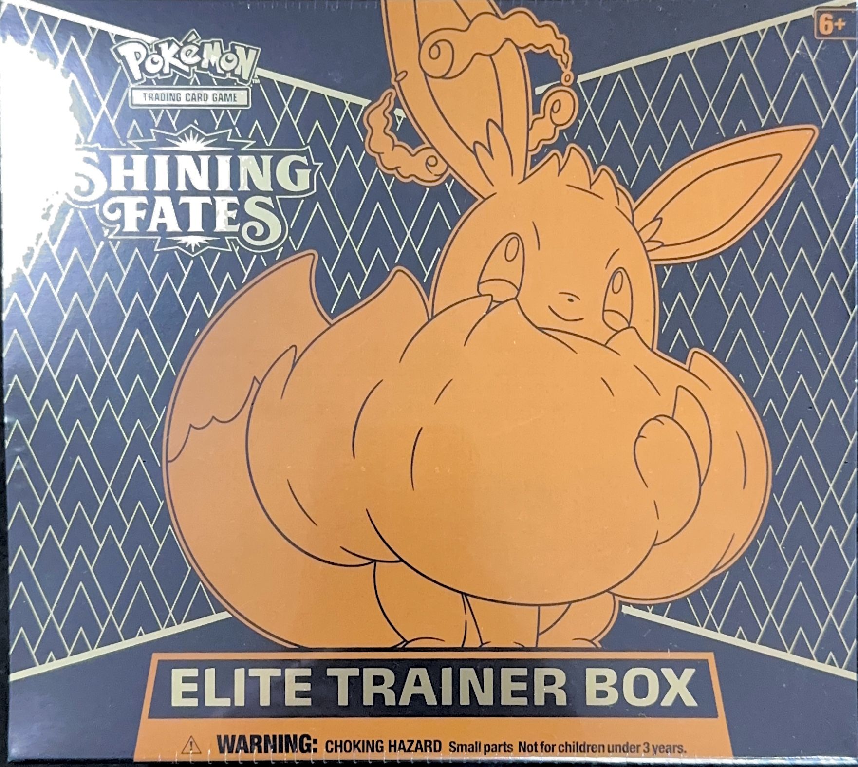 Shining Fates Elite Trainer Box ETB Pokemon TCG