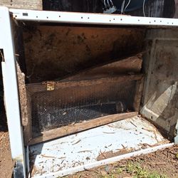 Chicken baby chicken home