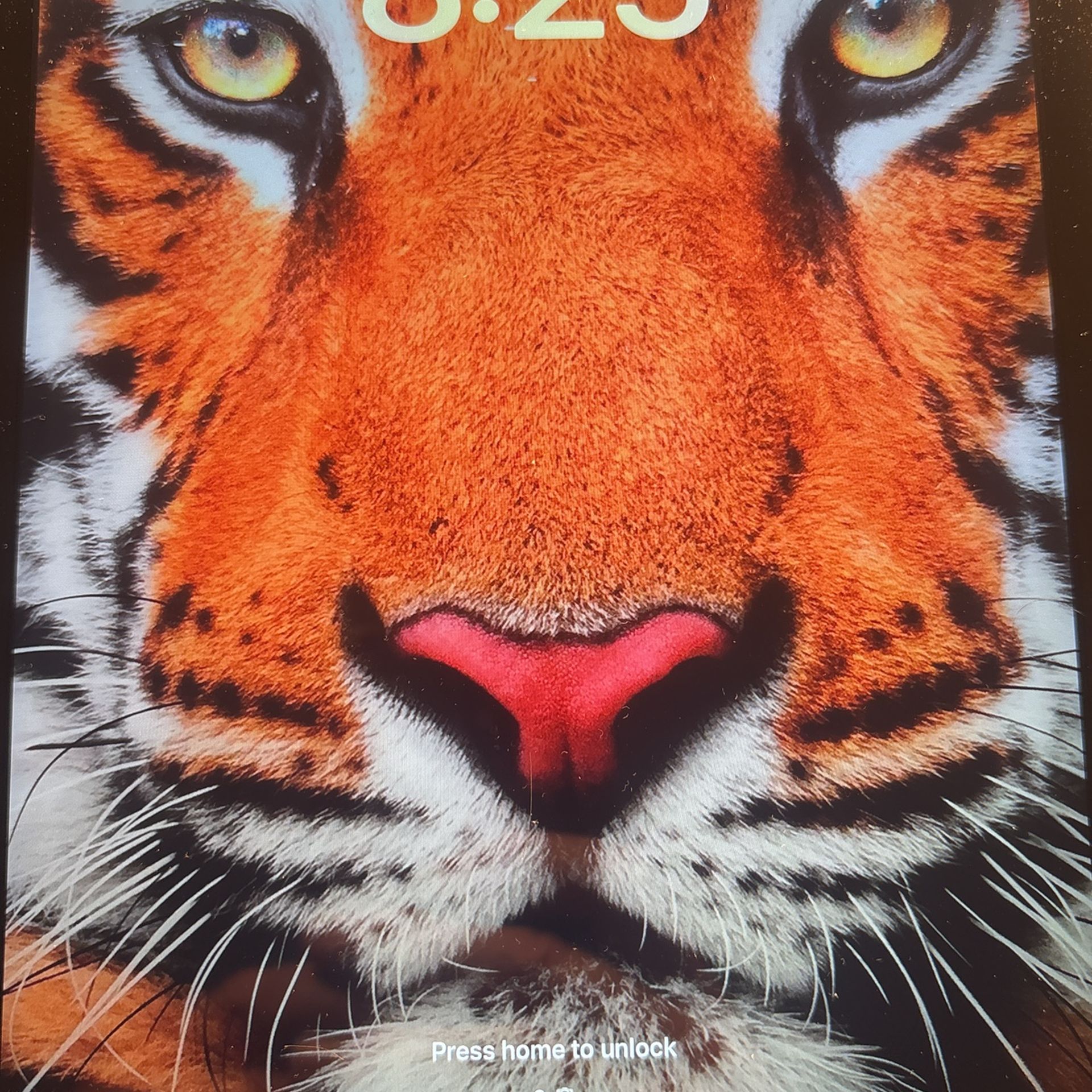 iPad 6th Generation 128gb With Otterbox Case