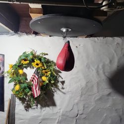 Punching Bag