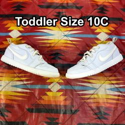 Nike Air Jordan 1 Low TD Cobalt Bliss Neutral Grey Toddler Sz 10C FN7398-400
