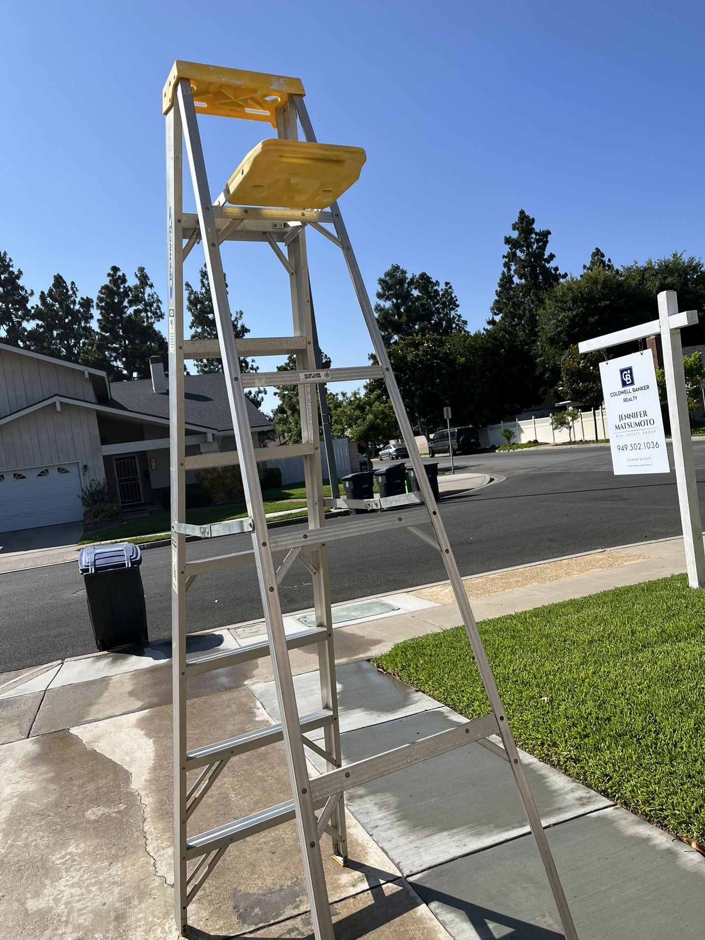 Aluminum Ladder - Werner 8 Ft