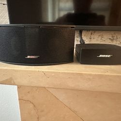 Bose Speaker System