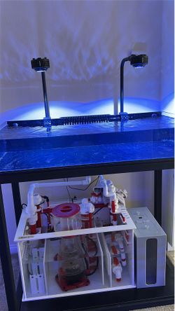 Frag tank