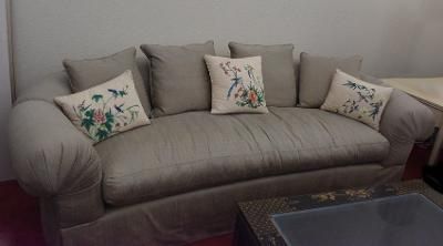 Silk couch with pillows
