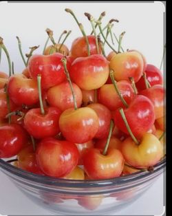 Cherrys Cherrys Cherrys Bulk Sales Bings And Rainier