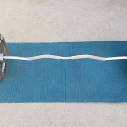 Olympic Curl Bar & Weights 
