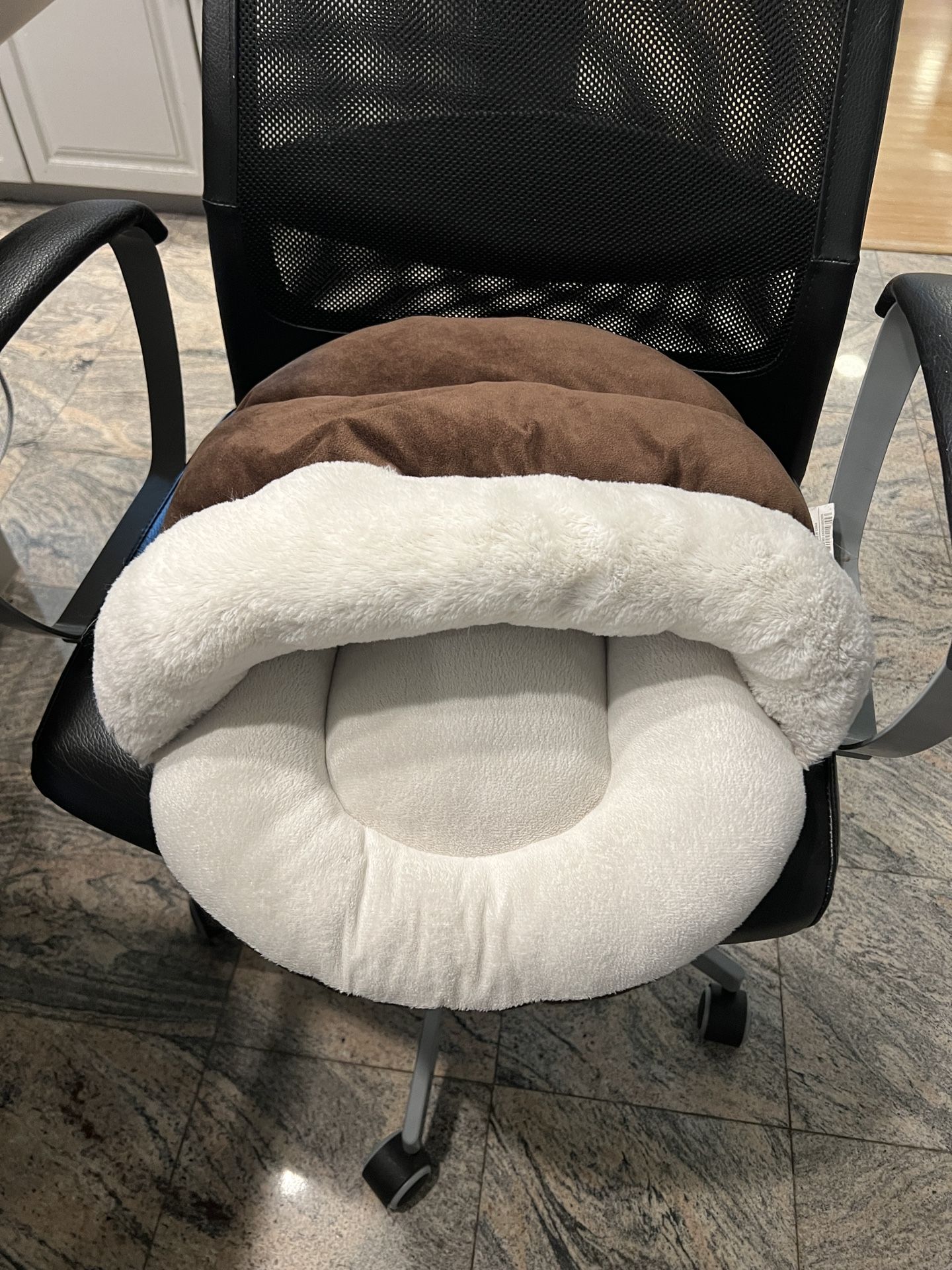 Pet Cushion