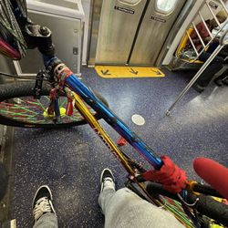 EVO BMX CHAMELEON COLOR 