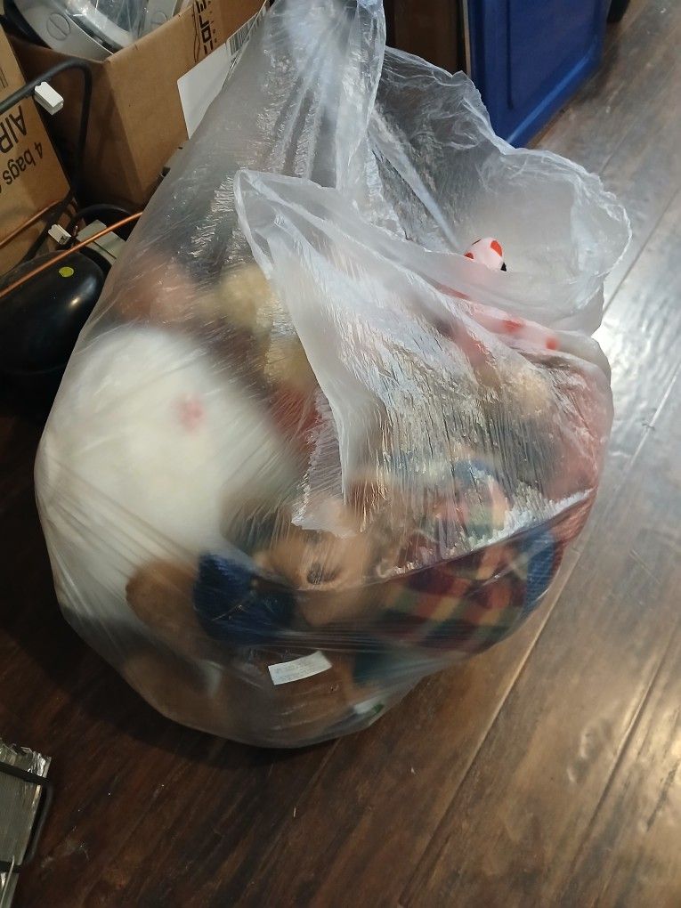 Bag Of Stuffed Animal
