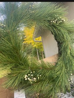 Needle Pine With White Berries And Bells