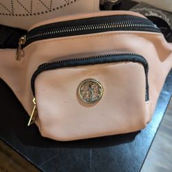 Pink Fanny Pack