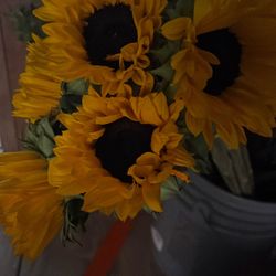 Flores Frescas