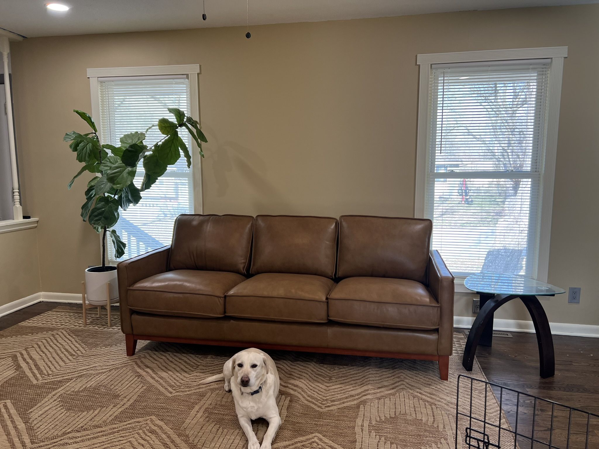 NFM Leather Couch