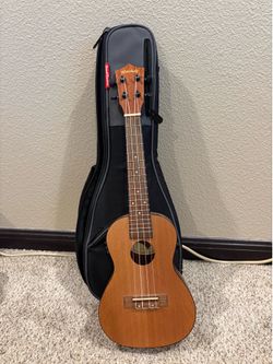 Mitchell ukulele with case