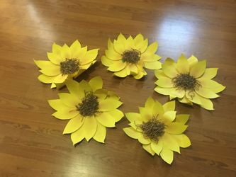 5 Sunflower back drop