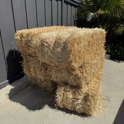 FREE HAY HAUL TODAY