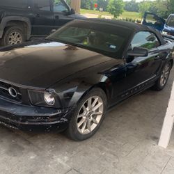 Ford Mustang V6 Convertible 
