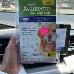 Flea Medicine 55lbs Up 