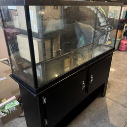 55 Gallon Fish/reptile Tank With Stand