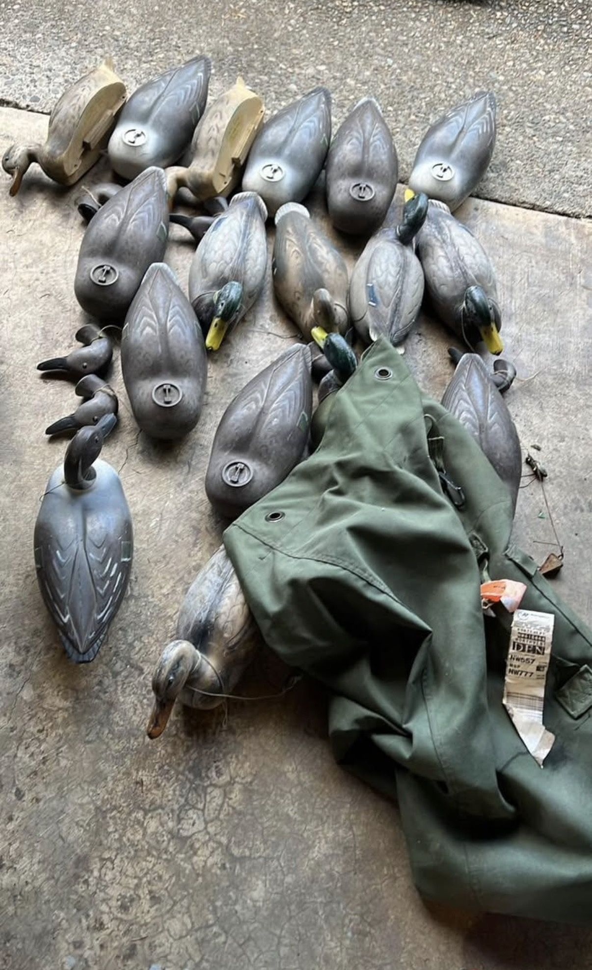 Vintage Duck Decoys