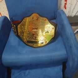 Wwe Belt (From Wwe Shop) Comes With Case