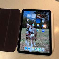 iPad mini (64GB) 6th generation with apple folio and apple pencil 2nd generation