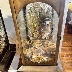 The Wildlife Collection Quail