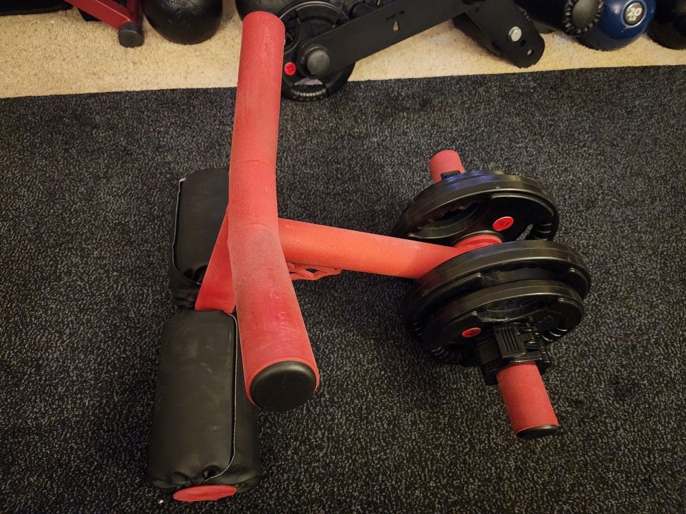 Black Widow Training Gear Custom made 18lb Lever Curl bar with a red powder coat