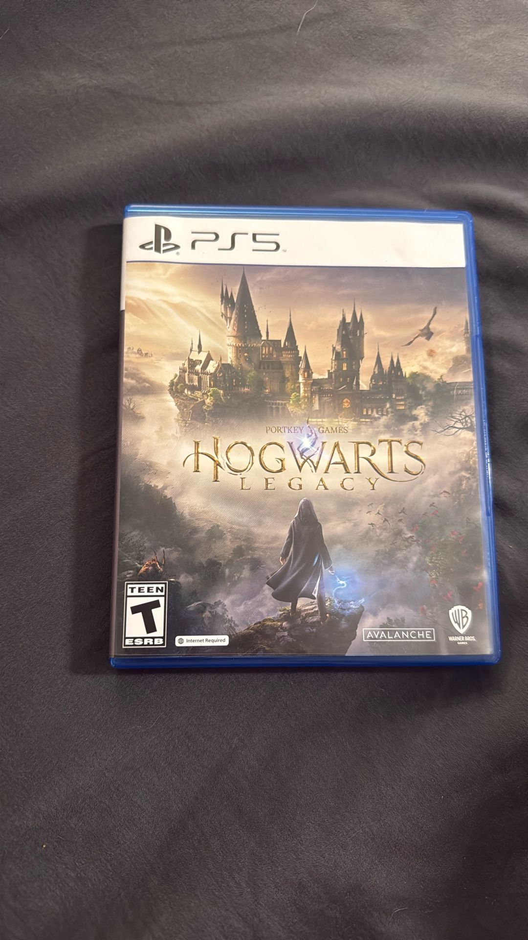 Ps5 Hogwarts Legacy 