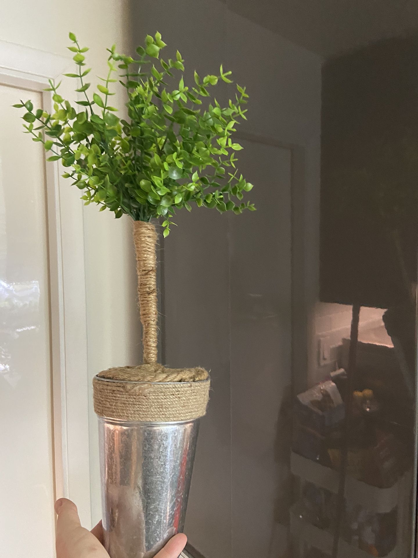 Housplant Boxwood Decoration